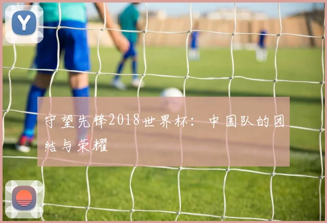 守望先锋2018世界杯：中国队的团结与荣耀