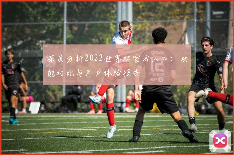 深度分析2022世界杯官方入口：功能对比与用户体验报告
