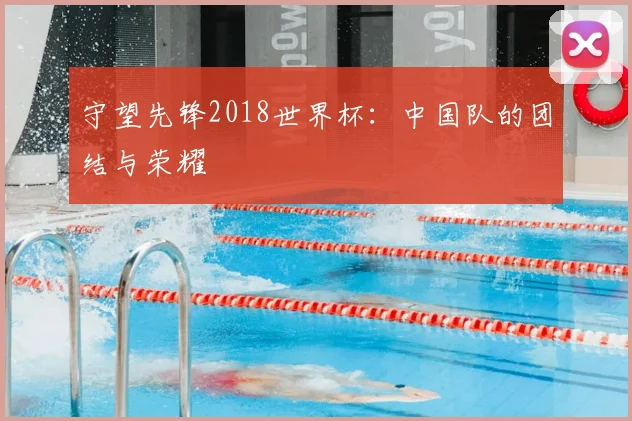 守望先锋2018世界杯：中国队的团结与荣耀