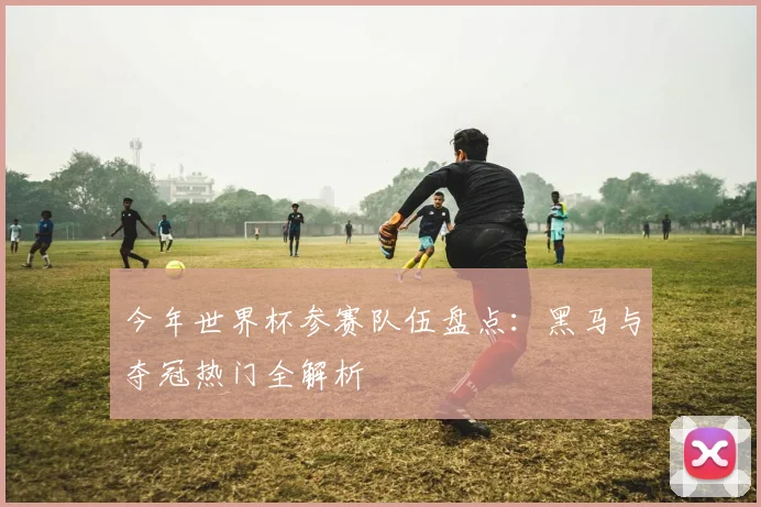今年世界杯参赛队伍盘点：黑马与夺冠热门全解析
