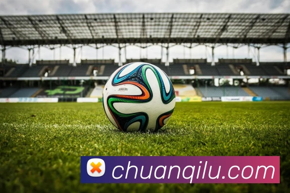 必一运动b官网平台生态图